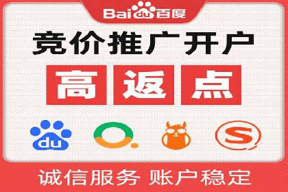 SEM服务案例：打造行业领先品牌